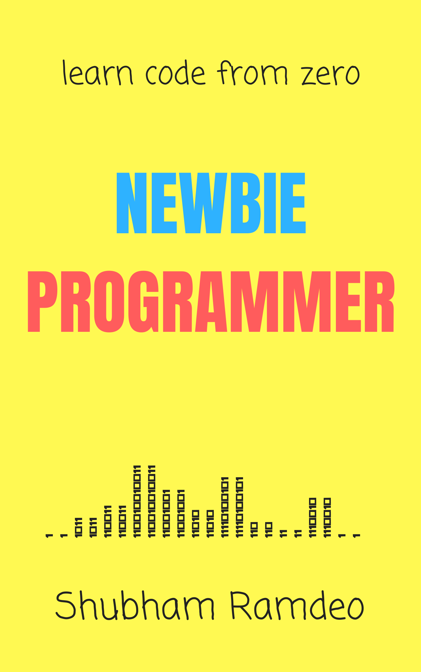 Newbie Programmer Book Cover Art
