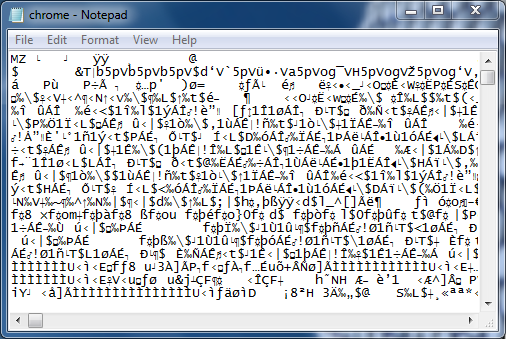 A .exe file in Computer's language